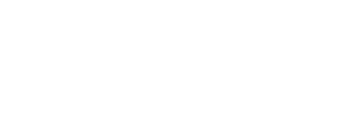colored logo